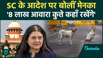 SC के फैसले से नाखुश Maneka Gandhi, ये फैसला बुरा है, कहां रखेंगे 8 लाख से ज्यादा Dogs |