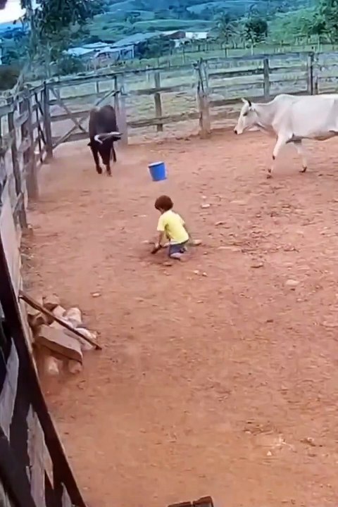 Protect the baby