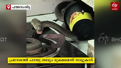 അടുക്കളയിലെ സ്‌റ്റൗവിന് മുകളിൽ അഞ്ചരയടി നീളമുള്ള മൂർഖൻ; രക്ഷപ്പെട്ടത് തലനാരിഴയ്‌ക്ക്