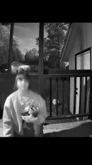 You Won’t Believe This Reaction 😭🤣 | Try Not To