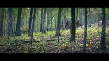 Hunting Season - Official Trailer