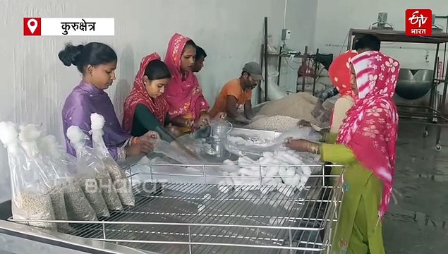 मालामाल करता मशरूम , आठवीं पास यादविंदर ने 50 हजार रुपए से की शुरुआत, अब सालाना हो रही 7 करोड़ रूपए की कमाई