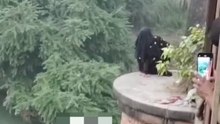Dramatic Rescue: Police Officer & Bystanders Save woman from Bridge/Dam