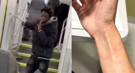 Ragazza aggredita sul treno, denunciato 26enne gambiano: disposto il rimpatrio (07.11.25)