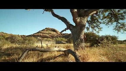 BEAST Bande Annonce VF (2022)