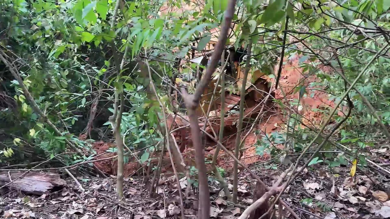 At the Plantation, the D6R XL Bulldozer Penetrates the Difficult Mountain Slope