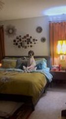 Owner Finds German Shorthaired Pointer Sitting Upright on Bed