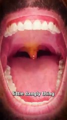 What_Is_The_Purpose_Of_Your_Uvula__🤔(360p)