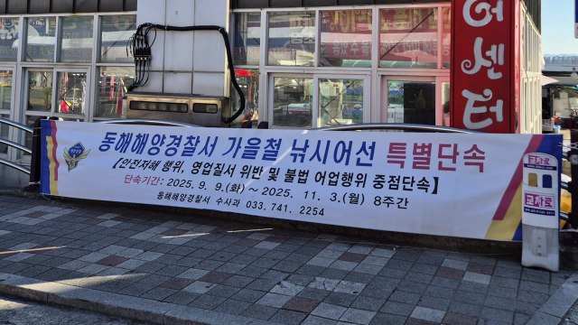 동해해경, 허위 출항 신고 낚시 어선 11척 적발 / YTN