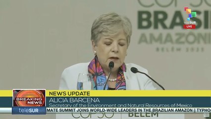 B/N: Mexico Presents Ambitious Climate Plan at COP30