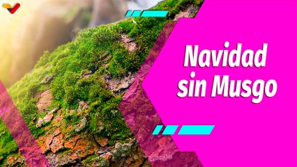 Buena Vibra | “Navidad sin musgo, en Paz y con soberanía”