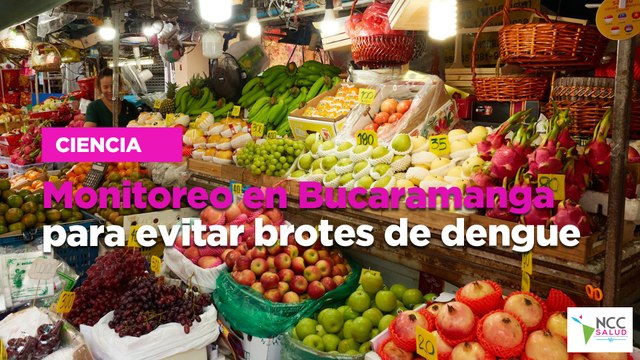 Monitoreo en Bucaramanga para evitar brotes de dengue