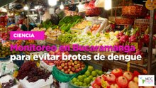 Monitoreo en Bucaramanga para evitar brotes de dengue
