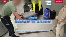 Apreendidos quase 40 kg de canábis em aeroporto de Varsóvia