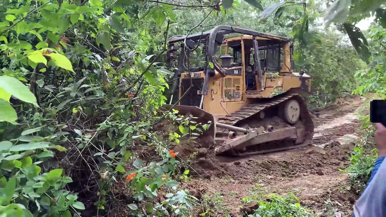 The D6R XL Bulldozer on the Old Plantation Road Is Now Operational Again