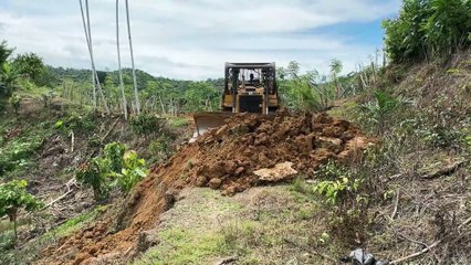 Bulldozer D6R XL Reliable Heavy Equipment for Old Plantation Roads