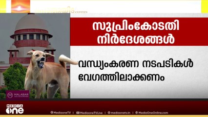 'ആശുപത്രികൾ,സ്കൂളുകൾ തുടങ്ങിയ പൊതുവിടങ്ങളിൽ നിന്ന് തെരുവ് നായകളെ മാറ്റണം': സുപ്രീംകോടതി