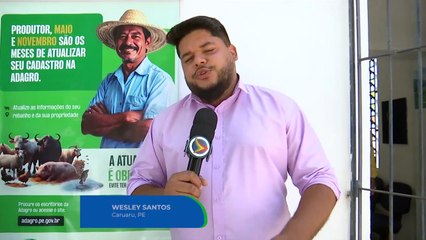 Atualização do Cadastro de Rebanhos em Pernambuco: Importância e Orientações