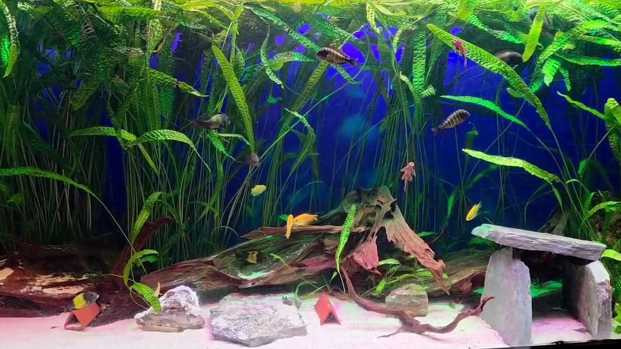 Das Antalya Aquarium mit Schneewelt, Wachsfiguren und Co