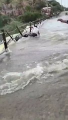 Motorcycle Rider Falls While Attempting to Cross Dangerous Flash Flood Road