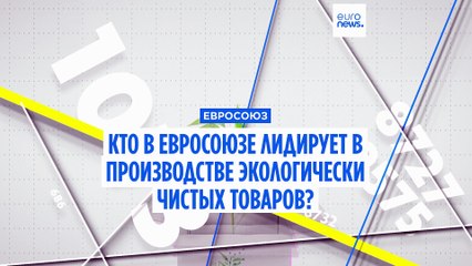 Какие страны Евросоюза лидируют в производстве экологически чистых товаров?