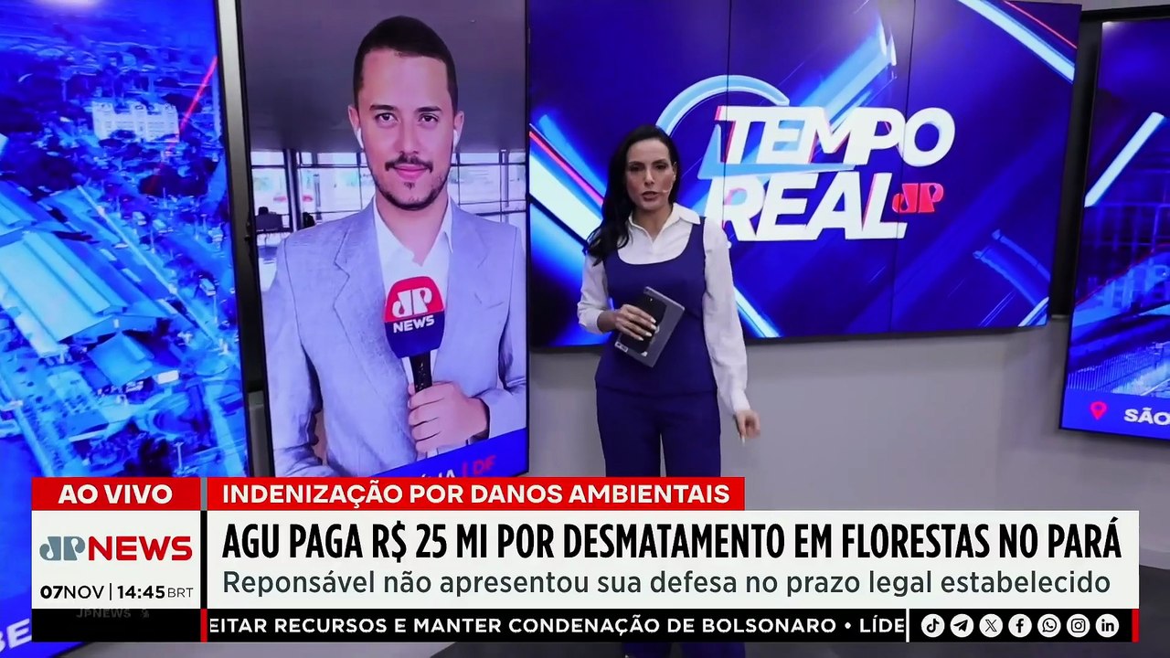 Multa milionária: Justiça cobra R$ 25 milhões por desmatamento em florestas no Pará | TEMPO REAL