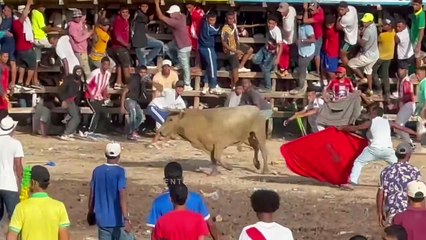 Corralejas El Copey 2025 | Toros de Hnos. Ortega