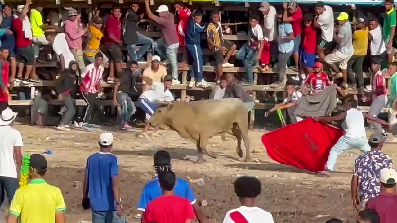 Corralejas El Copey 2025 | Toros de Hnos. Ortega