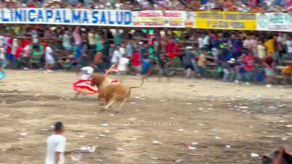 Corralejas El Copey 2025 | Toros de Jose Mercado