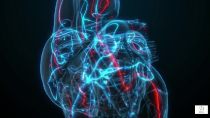 Cholesterol After 60 Good vs. Bad — What You Need to Know