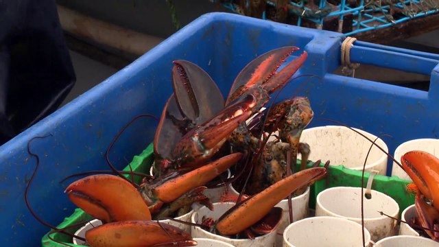 07 NOV TOPO LPM PECHE