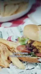 El Millionario Fugitivo Se Convierte En Mi Esposo