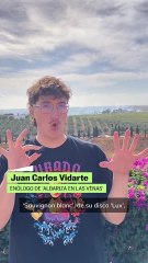 La cata del nuevo disco de Rosalía