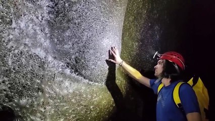 Scientists Find Giant Spider Colony Living in Harmony