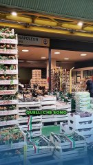 Lollobrigida - Al Centro Agroalimentare di Verona (07.11.25)