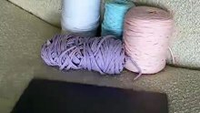 Pastel lottie sleeve Studio Lot