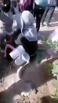 Trabajadores resultaron intoxicados en fundo en Ica