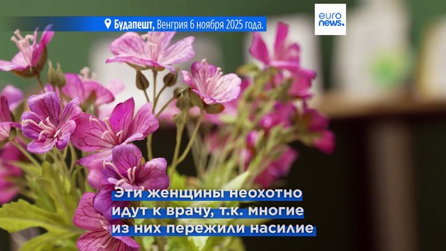 Волонтёры помогают бездомным в Будапеште: гинекологическая клиника и проект Vitamin Kommando