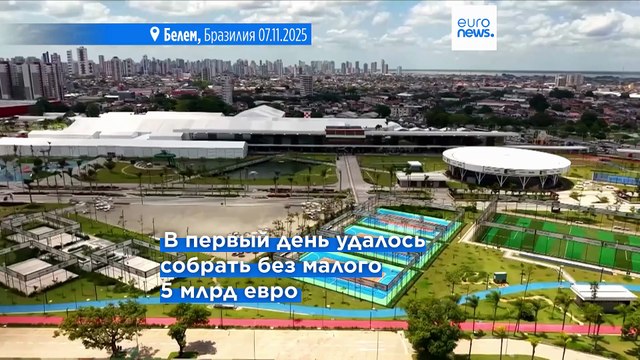 Германия обещает поддержать бразильскую схему защиты тропических лесов на переговорах ООН по климату