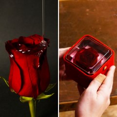You won't believe 🤯 what happens when we encapsulate this rose in resin! 🎁✨