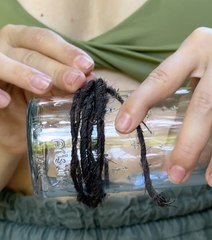 Wind ruining your vibe? Try this candle hack 🔥🌬️