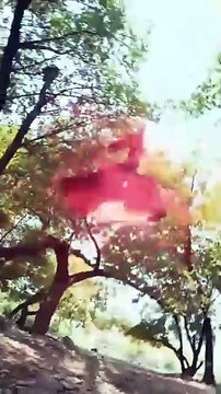 Literary Giant Becomes Top Scholar Part 1- Chinese Drama