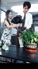 [Doblado ES] Pasión Inmortal- Renacer entre las Cenizas en Español