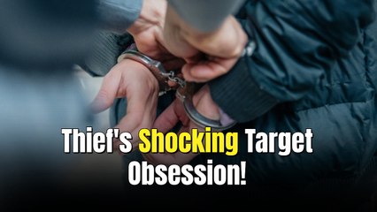 Suspected Thief Allegedly Linked to 23 Target Heists Was Reportedly After One Specific Toy