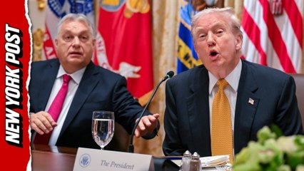 Trump hosts Viktor Orbán at WH, praises Hungary's limited crime: 'He's run a really great country'