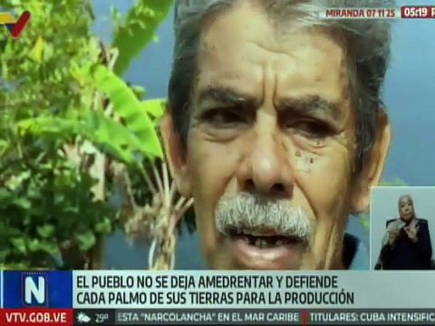 Campesinos de Miranda garantizan la independencia agroalimentaria de Venezuela