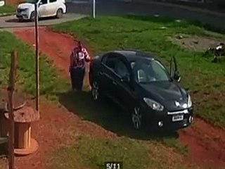 Idosa é presa em flagrante após abandonar cadela e filhotes em Ceilândia