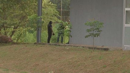 Hallan cuerpo sin vida en lote baldío del corregimiento de Don Bosco; fiscalía investiga