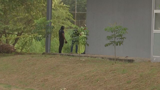Hallan cuerpo sin vida en lote baldío del corregimiento de Don Bosco; fiscalía investiga