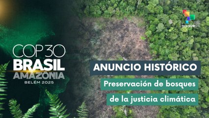 Brasil anuncia la creación de un Fondo de Conservación Forestal